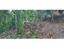 Land & House for Sale  -  Madappally, Kottayam