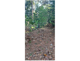 Land & House for Sale  -  Madappally, Kottayam