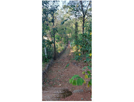 Land & House for Sale  -  Madappally, Kottayam