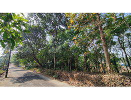 30 cent land sale at Vattappara,Ernakulam