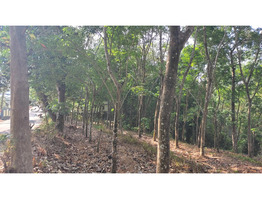 30 cent land sale at Vattappara,Ernakulam