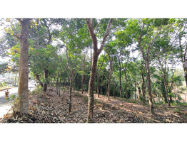 30 cent land sale at Vattappara,Ernakulam