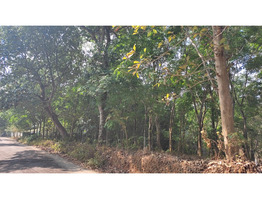 30 cent land sale at Vattappara,Ernakulam