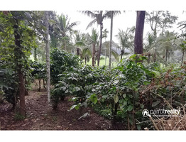 50 cent land for sale in Palvelicham near Kuruvadweep @ 65000/cent…..