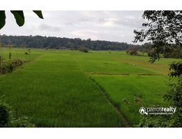 50 cent land for sale in Palvelicham near Kuruvadweep @ 65000/cent…..