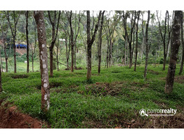 House plots for sale in wayanad @ 40000/CENT