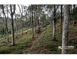 House plots for sale in wayanad @ 40000/CENT