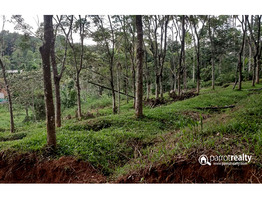 House plots for sale in wayanad @ 40000/CENT