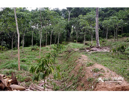 House plots for sale in wayanad @ 40000/CENT