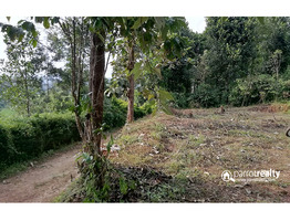 11cent house plot for sale in payyampally@ 75000/cent……