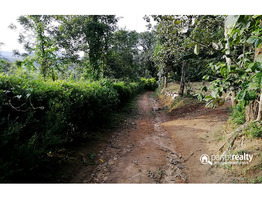 11cent house plot for sale in payyampally@ 75000/cent……