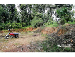 11cent house plot for sale in payyampally@ 75000/cent……