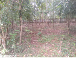 1.75 acre land for sale