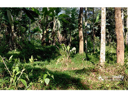 39 cent Investment purpose land for sale in Kattadikavala near Nadavayal