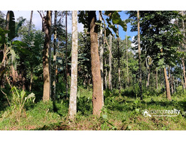 39 cent Investment purpose land for sale in Kattadikavala near Nadavayal