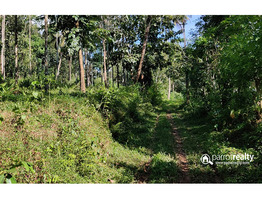 39 cent Investment purpose land for sale in Kattadikavala near Nadavayal