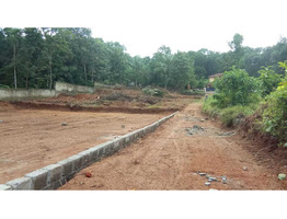 36 Cent Residential Land for Sale at Elanthoor, Pathanamthitta