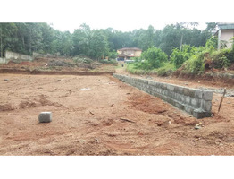 36 Cent Residential Land for Sale at Elanthoor, Pathanamthitta