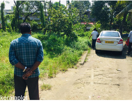 6 CENT LAND FOR SALE AT PACHALAM- 15 LAKHS PER CENT-