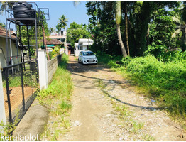 6 CENT LAND FOR SALE AT PACHALAM- 15 LAKHS PER CENT-