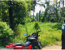 6 CENT LAND FOR SALE AT PACHALAM- 15 LAKHS PER CENT-