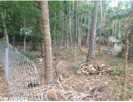 25CENT HOUSE PLOT FOR SALE IN VADAKKENCHERRY,PALAKKAD