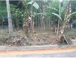 25CENT HOUSE PLOT FOR SALE IN VADAKKENCHERRY,PALAKKAD