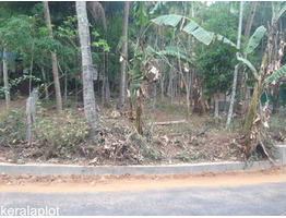 25CENT HOUSE PLOT FOR SALE IN VADAKKENCHERRY,PALAKKAD