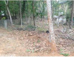 25CENT HOUSE PLOT FOR SALE IN VADAKKENCHERRY,PALAKKAD