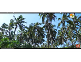 1 1/2 acre commercial land sale at  pinekulam, thrissur.