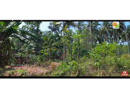 1 1/2 acre commercial land sale at  pinekulam, thrissur.