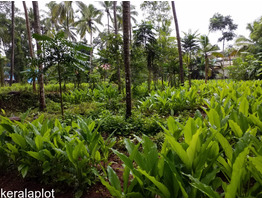 1 1/2 acre commercial land sale at  pinekulam, thrissur.