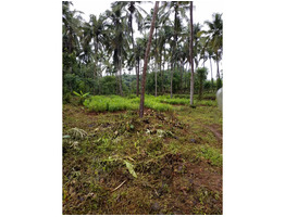 1 1/2 acre commercial land sale at  pinekulam, thrissur.