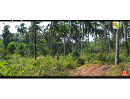 1 1/2 acre commercial land sale at  pinekulam, thrissur.