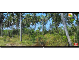 1 1/2 acre commercial land sale at  pinekulam, thrissur.