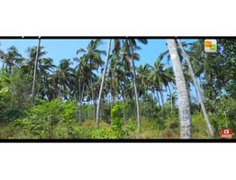 1 1/2 acre commercial land sale at  pinekulam, thrissur.