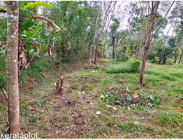 63 cent land for sale at Mananthavady payyambilly wayanad