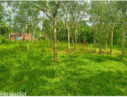 63 cent land for sale at Mananthavady payyambilly wayanad