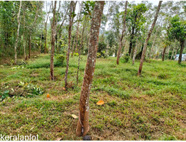 63 cent land for sale at Mananthavady payyambilly wayanad