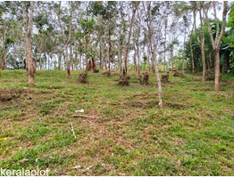 63 cent land for sale at Mananthavady payyambilly wayanad