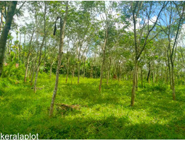 63 cent land for sale at Mananthavady payyambilly wayanad