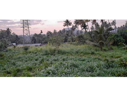 1 acre land and dairy farm for sale at Thrissur.