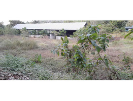 1 acre land and dairy farm for sale at Thrissur.