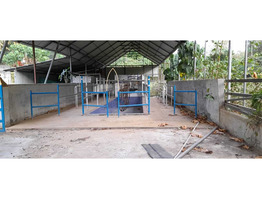 1 acre land and dairy farm for sale at Thrissur.