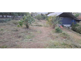 1 acre land and dairy farm for sale at Thrissur.