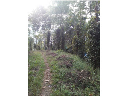 3 acre residential  land for sale in udumbanchola thaluk ,(kalkoonthal village) ,idukki.