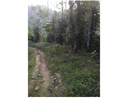 3 acre residential  land for sale in udumbanchola thaluk ,(kalkoonthal village) ,idukki.