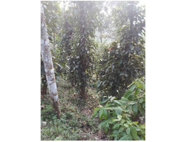 3 acre residential  land for sale in udumbanchola thaluk ,(kalkoonthal village) ,idukki.