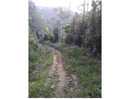 3 acre residential  land for sale in udumbanchola thaluk ,(kalkoonthal village) ,idukki.