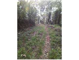 3 acre residential  land for sale in udumbanchola thaluk ,(kalkoonthal village) ,idukki.